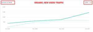 Organic New Users Traffic since beginning of SEO Campaign updated - 2.1.2021
